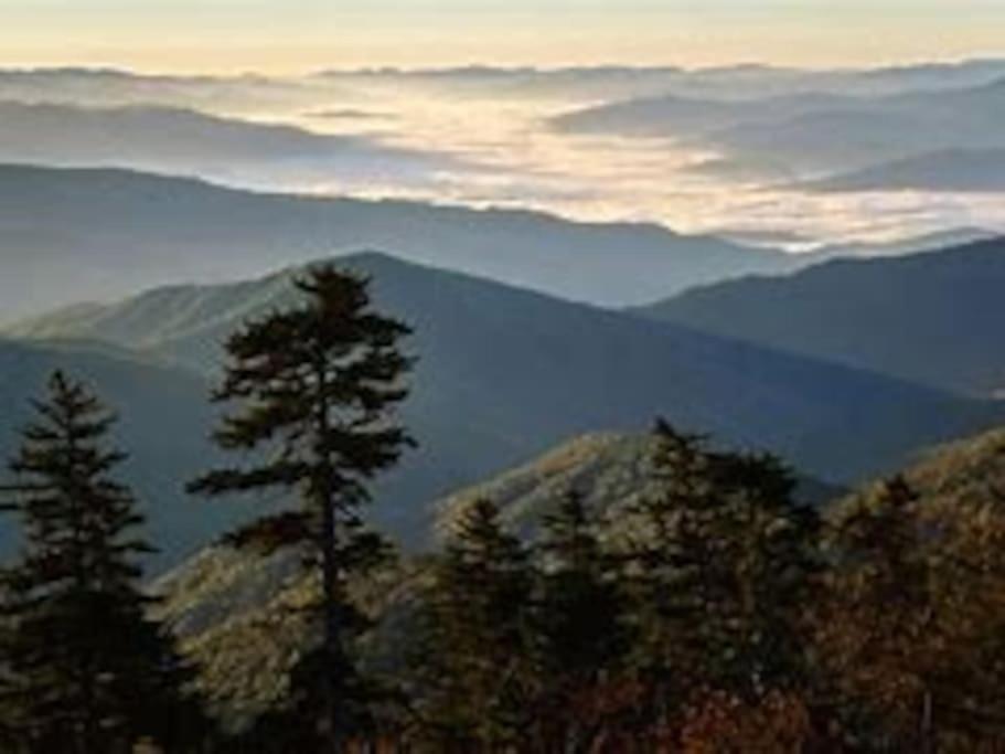 1 Mi To Dollywood Mins To All Attractions & Gsmnp Sevierville Exteriér fotografie