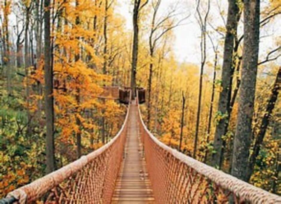 1 Mi To Dollywood Mins To All Attractions & Gsmnp Sevierville Exteriér fotografie